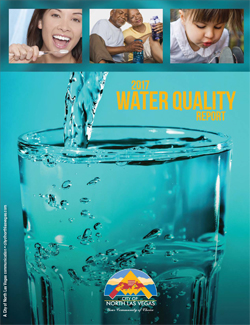 2017WaterQualityReportCover