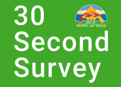 30 second survey