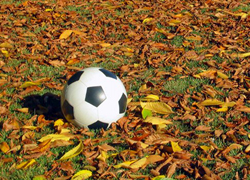 fall-soccer